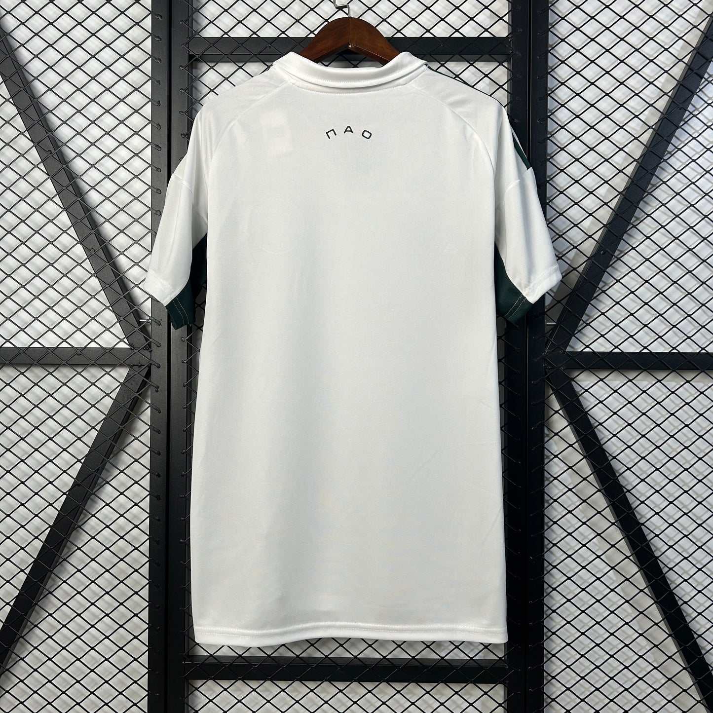 25-26 Panathinaikos Away